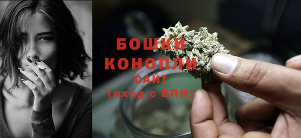 кокс Дмитров