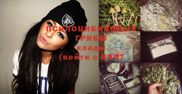 apvp Дмитровск