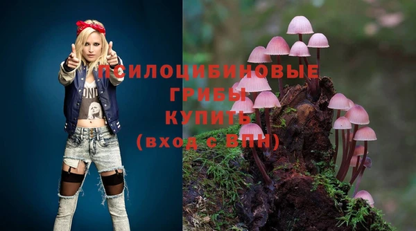 apvp Дмитровск