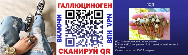 наркошоп Кизляр MEGA сайт Псилоцибиновые грибы GOLDEN TEACHER